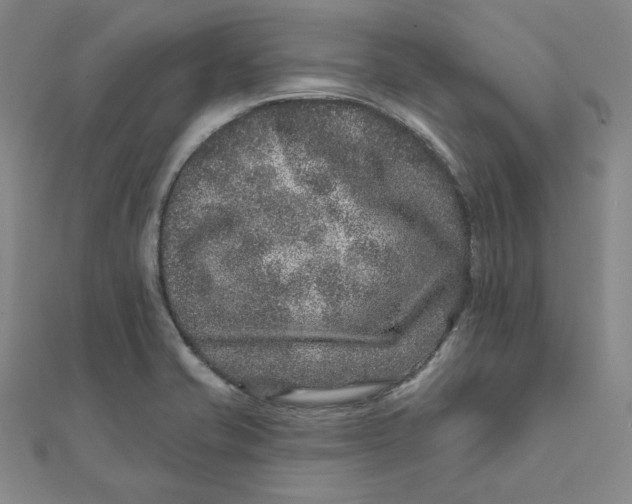 X0000111871421200908131602