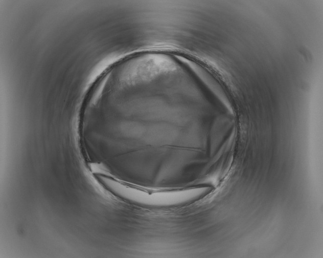 X0000111871422200908131602