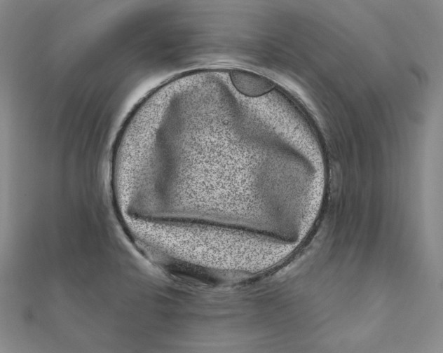 X0000111871424200908131602