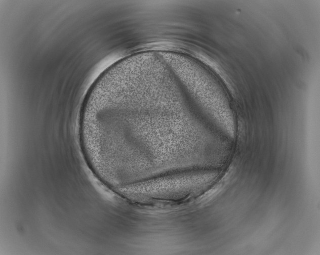 X0000111871426200908131602