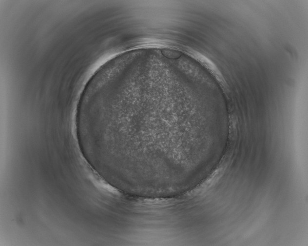 X0000111871427200908131602