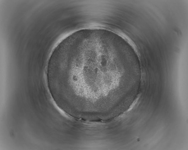 X0000111871429200908131602