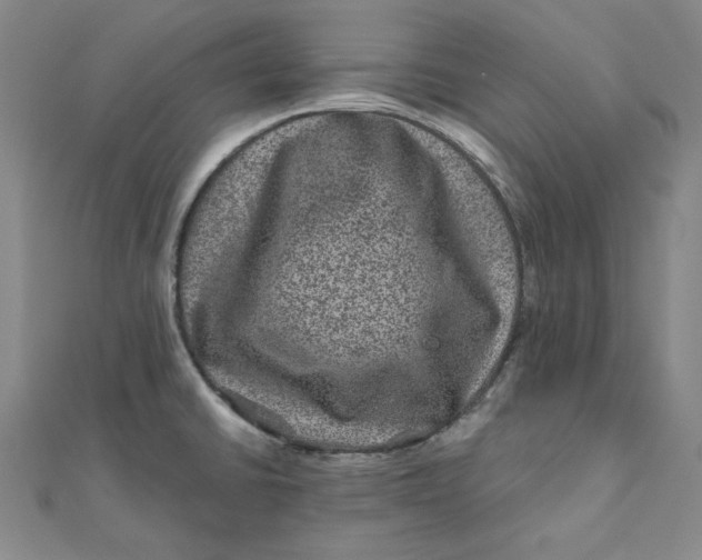 X0000111871430200908131602