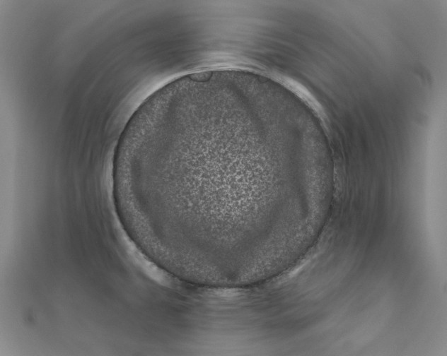 X0000111871431200908131602