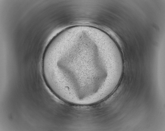 X0000111871432200908131602