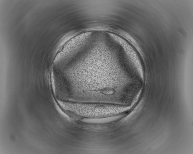 X0000111871433200908131602