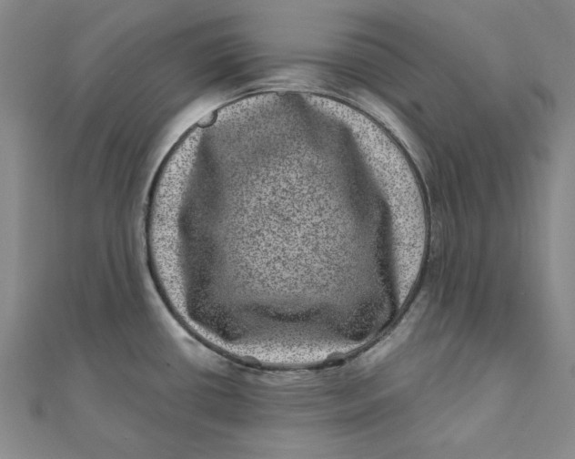 X0000111871434200908131602