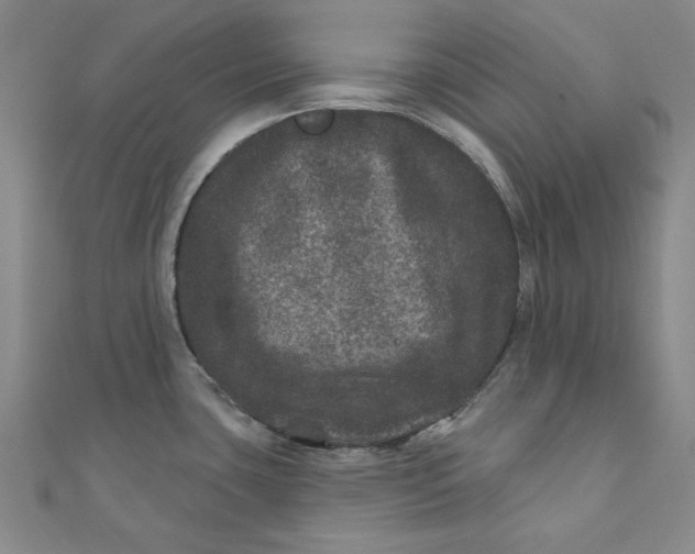 X0000111871435200908131602