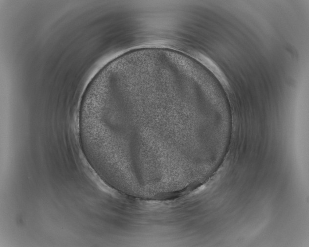 X0000111871436200908131602