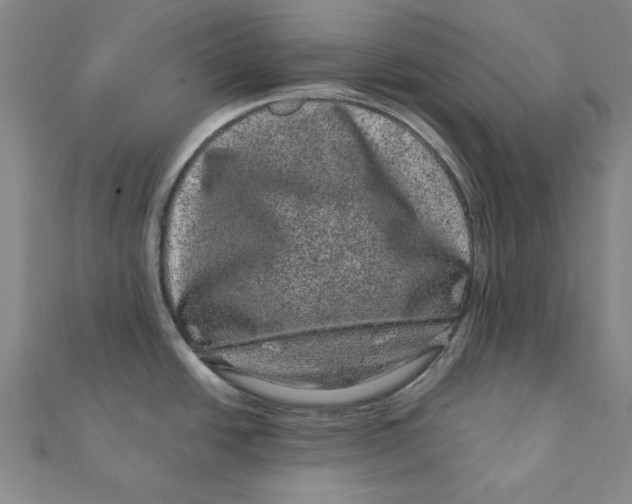 X0000111871438200908131602