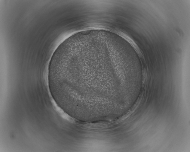 X0000111871439200908131602