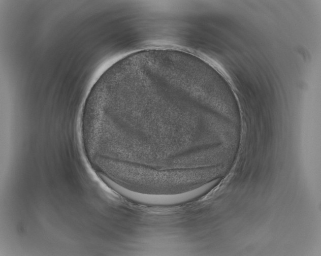 X0000111871440200908131602