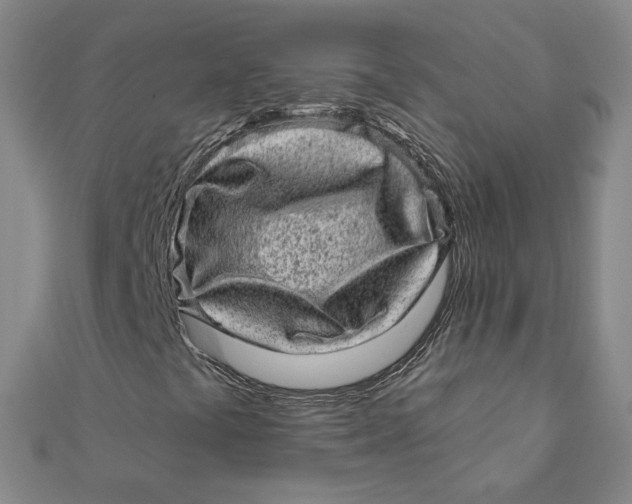 X0000111871441200908131601