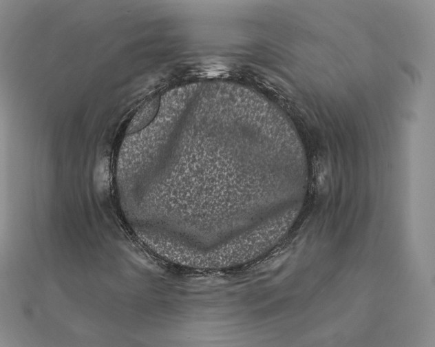 X0000111871442200908131601