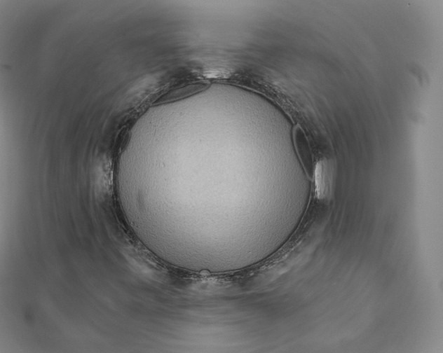 X0000111871443200908131601