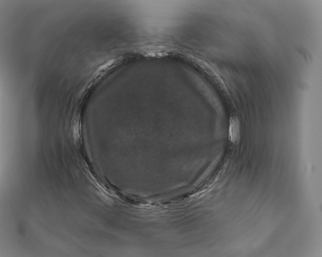 X0000111871444200908131601