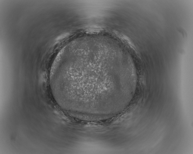 X0000111871445200908131601