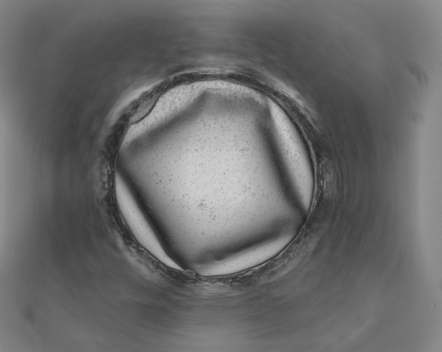 X0000111871448200908131601