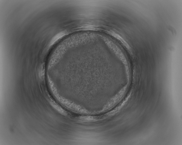 X0000111871450200908131601