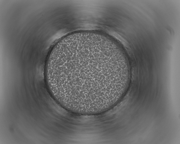 X0000111871451200908131601