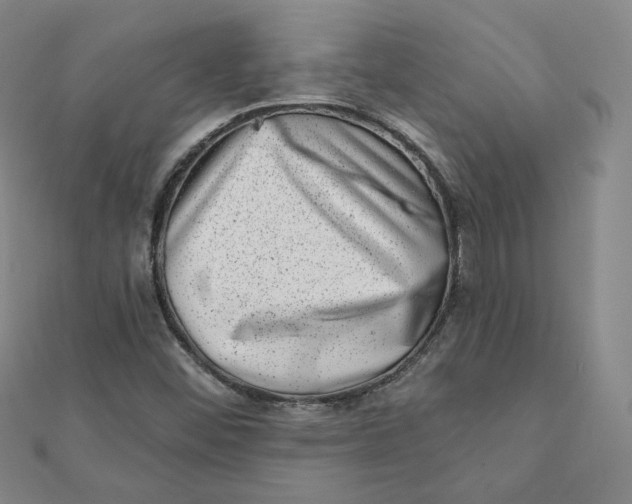 X0000111871452200908131601