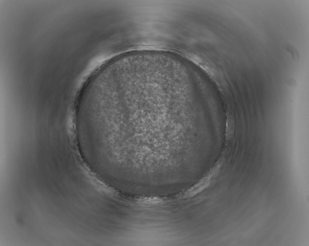 X0000111871454200908131601