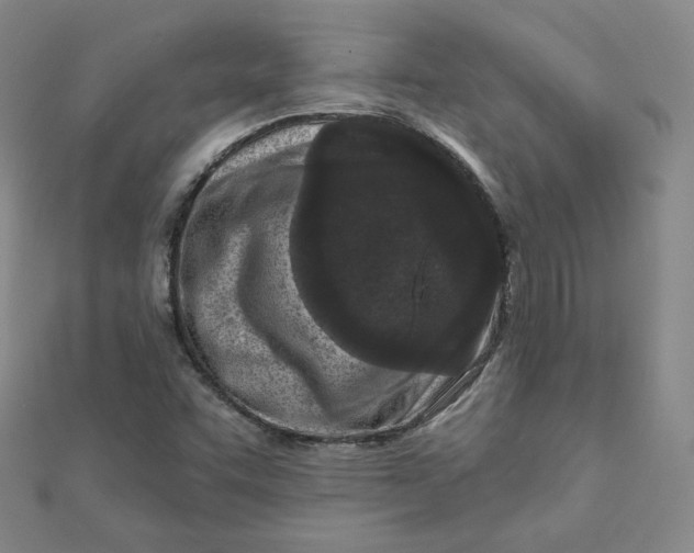 X0000111871455200908131601