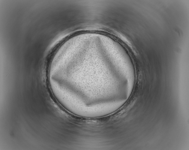 X0000111871456200908131601