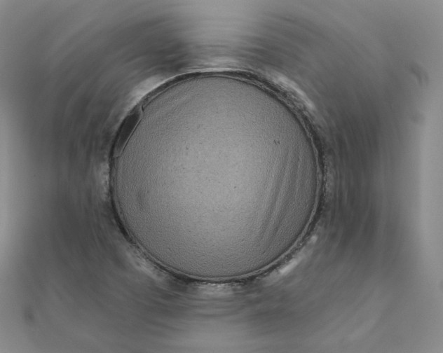 X0000111871457200908131601