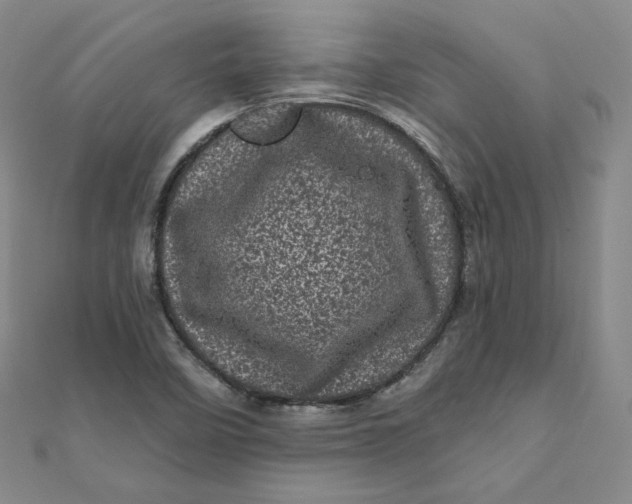 X0000111871458200908131601