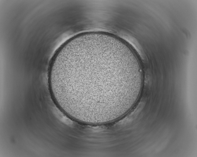 X0000111871460200908131601