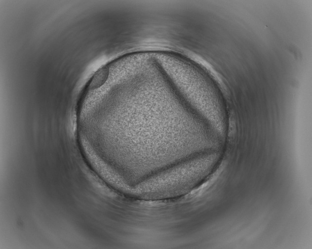 X0000111871461200908131601