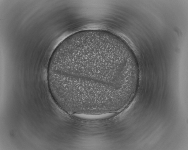 X0000111871465200908131601