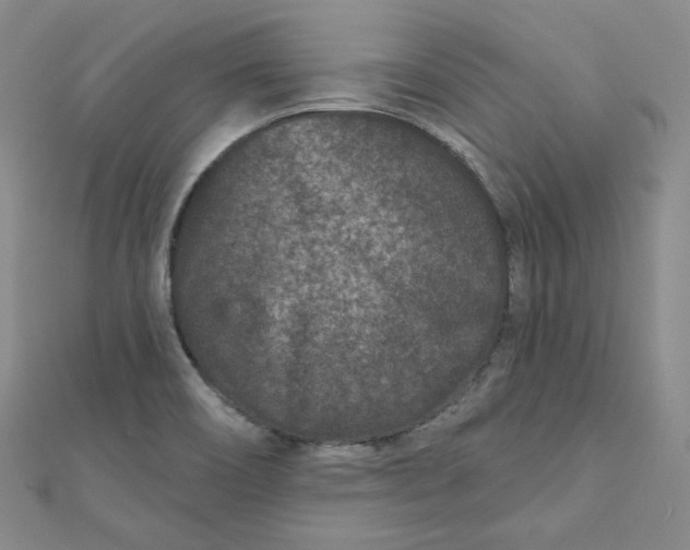 X0000111871466200908131601