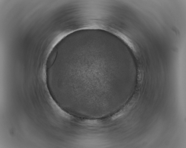 X0000111871468200908131601