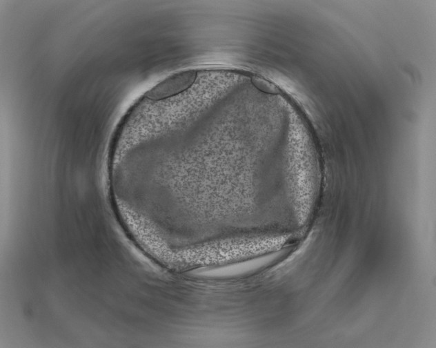 X0000111871469200908131601