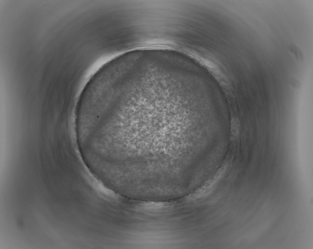 X0000111871470200908131601