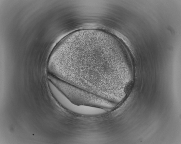 X0000111871473200908131601