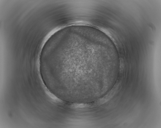 X0000111871474200908131601