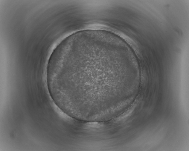 X0000111871478200908131601