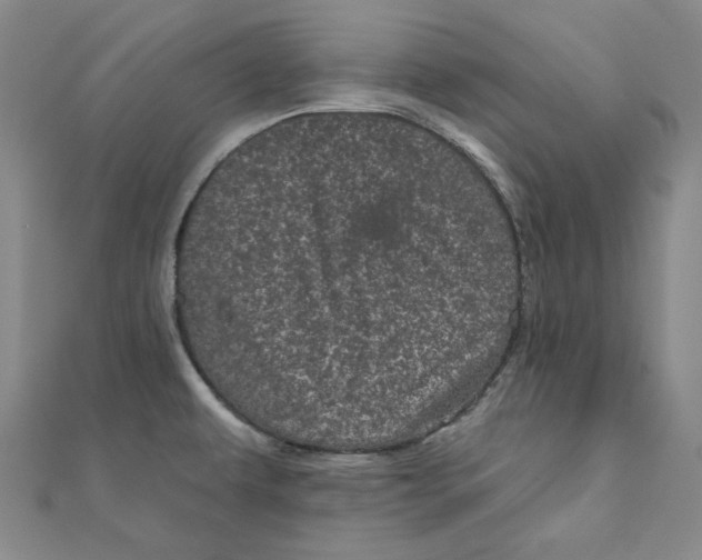 X0000111871479200908131601