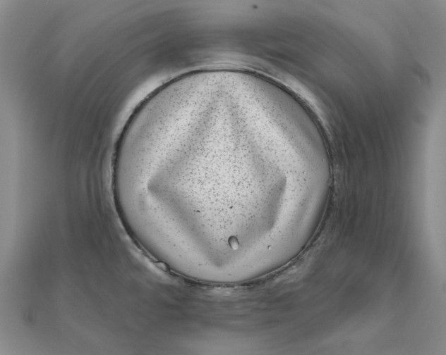 X0000111871480200908131601