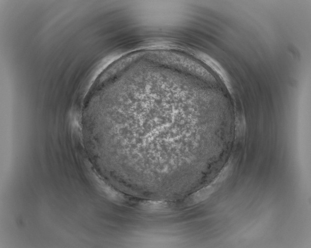 X0000111871481200908131601