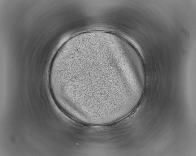 X0000111871483200908131601