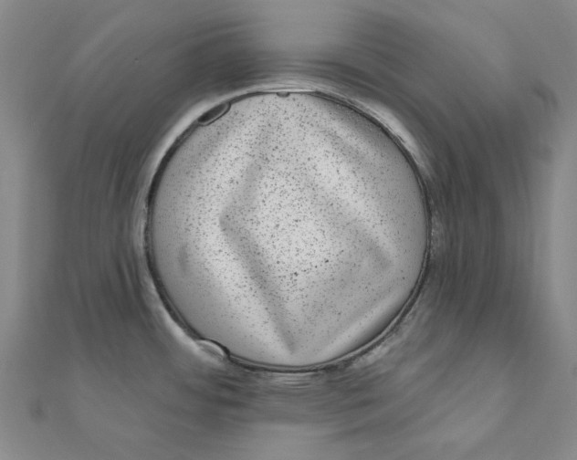 X0000111871484200908131601