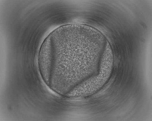 X0000111871486200908131601