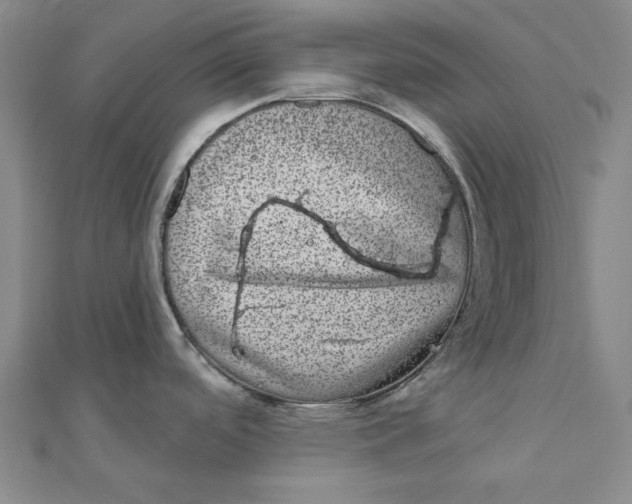 X0000111871488200908131601