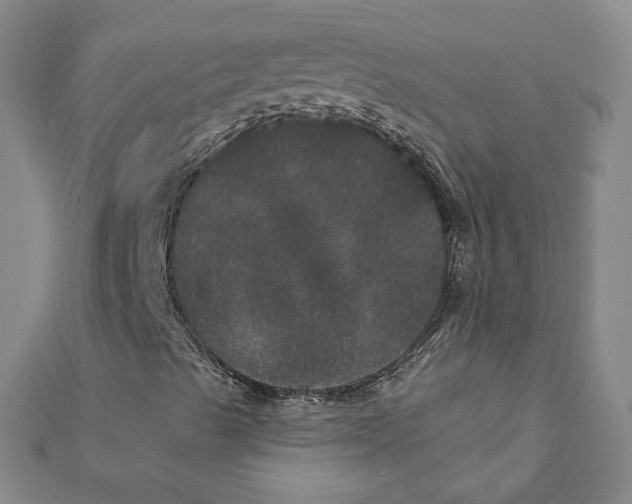 X0000111871489200908131600