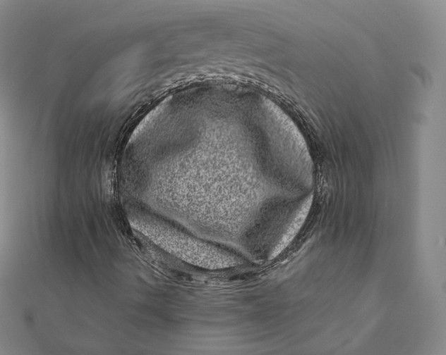 X0000111871490200908131600