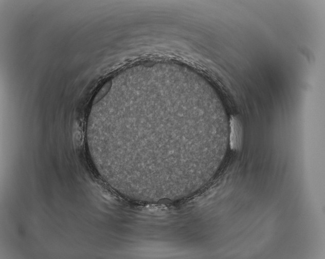 X0000111871491200908131600